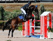 Minardi Gipsy Boy GioCav2013 S5 1964 : Campionati Italiani Giovani Cavalli, Cattolica, Gipsy Boy, Minardi Claudio, ph Stefano Secchi ©